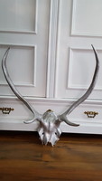 Silver-painted deer antlers, trophy, hunting wall decoration