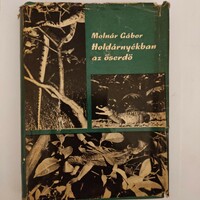 Gábor Molnár: the primeval forest in the shadow of the moon