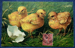 Antik arannyal préselt Húsvéti üdvözlő litho képeslap csibék tojáshéj