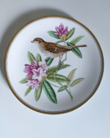 Csodaszép, madarat ábrázoló angol Spode porcelán dísztányér aranyozott széllel