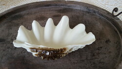 Hollóházi porcelán kagyló,gyűrűtartó,ékszertartó 20 cm.