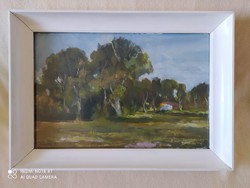 István Dienes: homestead, in the original gallery, flawless 51x36 cm
