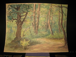 Gebauer Ernő :  Erdő részlet   , 32 x 25 cm , akvarell