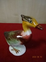 Bodrogkeresztúr glazed ceramic figure, mother duck, hand painted. He has! Jokai.