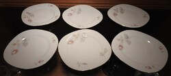 Set of 6 German plates with a rose pattern
