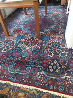 Gyönyörű, irani, kézi gyapjú szőnyeg
