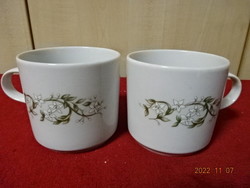 Alföldi porcelain mug, two pieces, patterned with a pair of snowdrops. He has! Jokai.