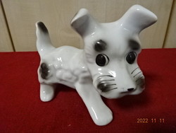 Romanian porcelain figurine, black spotted dog. He has! Jokai.