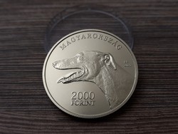 Magyar agár 2021 - 2000 Forint Színesfém UNC Proof Like emlékérme kapszulában, prospektussal