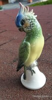 Volkstedt porcelán papagáj