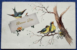 Art deco üdvözlő grafikus képeslap  madarak faágon  fagyöngy