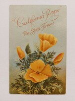 Régi dombornyomott képeslap sárga virágos levelezőlap