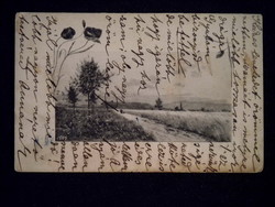 A020 Antik képeslap tájkép - 1905