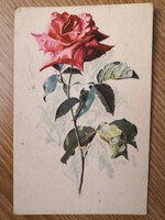Rózsa/retro virágos grafikus képeslap/Gonda Zsuzsa rajza/Képzőművészeti Alap /1965