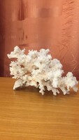 Mineral sea coral 17x17x10cm