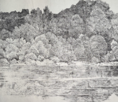 Gyula László (1910-1998) dedicated etching - bushy shore (25x29 cm)