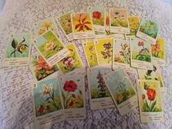 Retro növényes kártyajáték