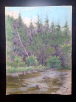 Pine forest - marked pastel, 48.5x36.5 cm