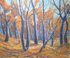 Őszi erdő, tájkép olajfestmény, méret 60x51 cm
