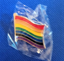 Pride pin muli color alloy in a flag design