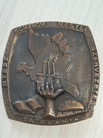 MTESZ  Tatabánya Komárom Megyei Szervezete bronz plakett saját dobozában