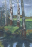 Birch trees on the waterfront - pastel (full size 49x35.5 cm)