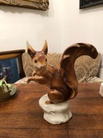 Large royal dux squirrel