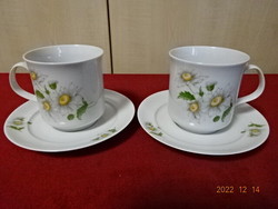 Alföldi porcelain cup with coaster, daisy pattern, two pieces in one. He has! Jokai.