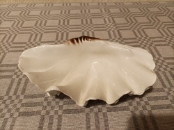 Hollóházi porcelán kagyló