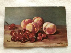 Antik képeslap - Gyümölcsök                    -2.