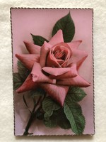 Antik, régi virágos képeslap - Postatiszta                    -2.