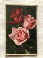 Antik, régi Rózsa virágos képeslap              -2.