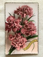 Antik, régi színezett Szegfű virágos képeslap             -2.