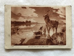 Antique, old postcard - hunting, deer, dogs -2.