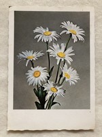 Old floral postcard -2.