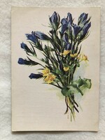 Floral postcard, picture postcard - care and rye drawing -2.