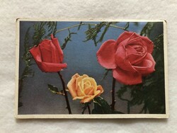 Antique, old floral postcard -2.