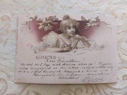 Old postcard 1899 postcard lady plant pattern