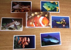 161 ocean-mania stickers in one, sticker pack