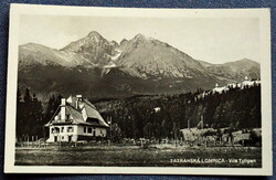 Old Tátralomnic villa tulip photo postcard around 1940