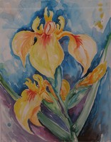 Melinda Horváth: yellow lily of Balaton