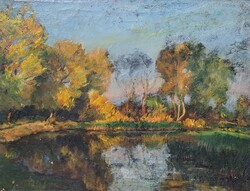 Waterside trees - old landscape oil painting on canvas, framed 52x63 cm