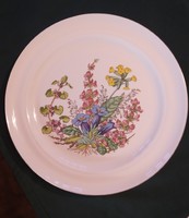 Henneberg German porcelain bowl, 28 cm, botanica, medicinal herb, herba pattern