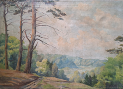 High-quality landscape with decipherable markings (oil, canvas, 70x50 cm)