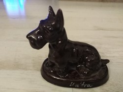 Miniature schnauzer - glazed ceramic dog / matra