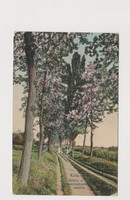 •	Kula, Sétány a Ferenczcsatorna mentén. Schröder, cca 1908
