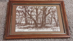 Réti Mátyás  ceruza rajz ,erdő, fák