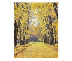 ÚJ! Digitálisan nyomtatott roletta, roló / levelek, ősz 80x180 cm