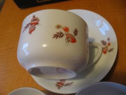 Antique altrohlau art deco tea cup