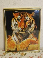 Tigrises falikép 20.5 X 25.5 cm.